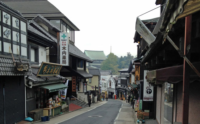 成田山新勝寺表参道