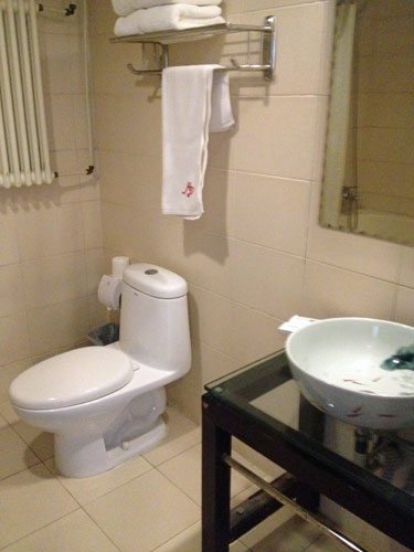 RJ-Brown-hotel-beijing-toilet